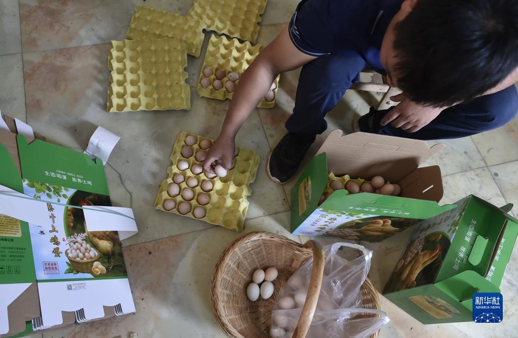 澳门盘下载